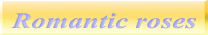 Romantic roses 