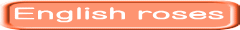 English roses
