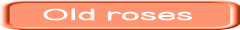 Old roses