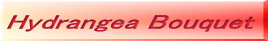 Hydrangea Bouquet