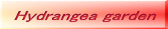 Hydrangea garden